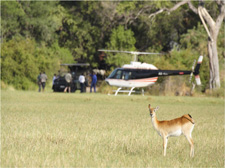 Botswana-Okavango Delta-Okavango Big Five Safari